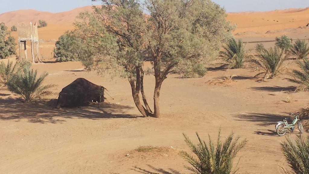 Auberge Africa Merzouga Ngoại thất bức ảnh