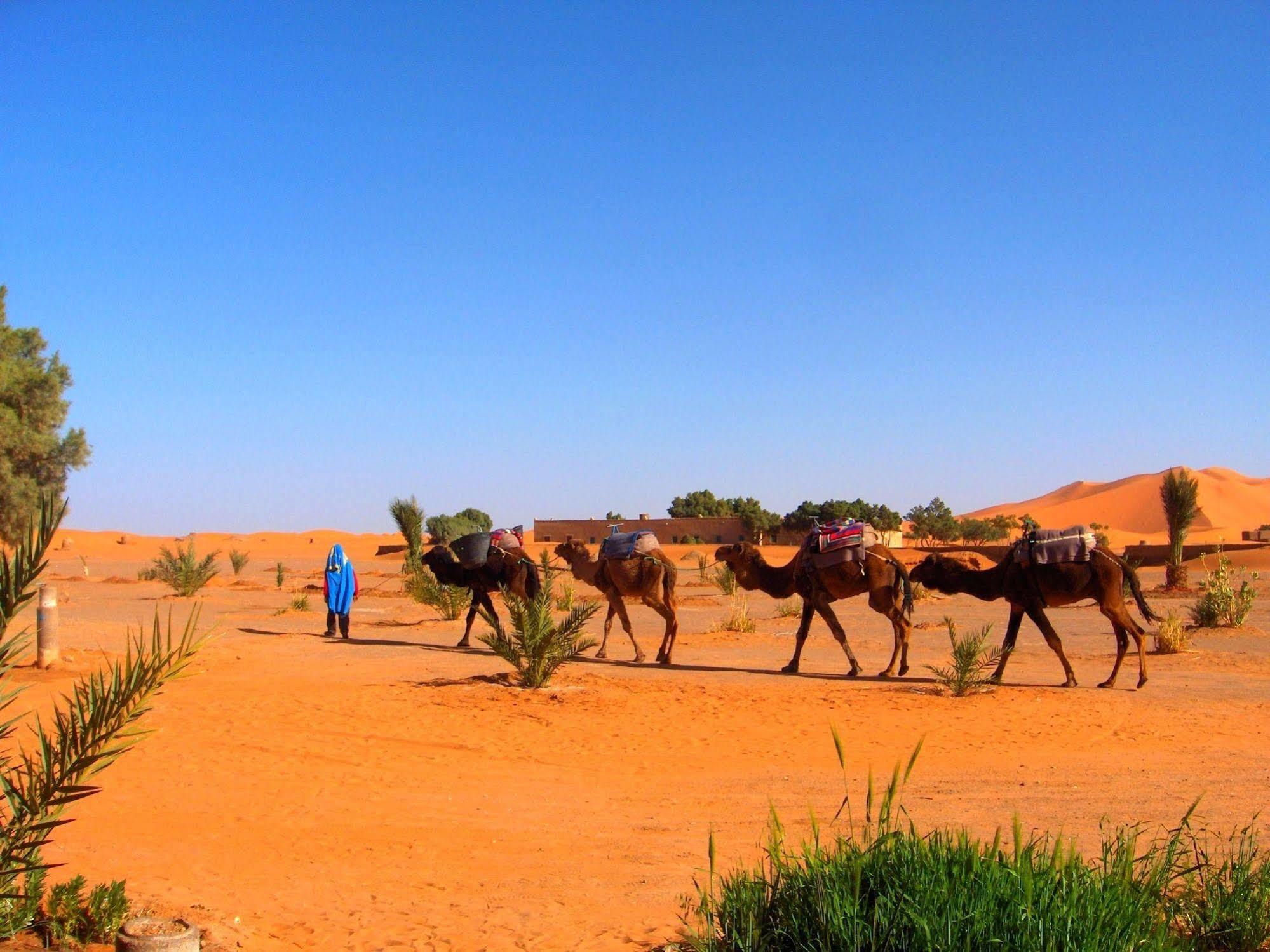Auberge Africa Merzouga Ngoại thất bức ảnh